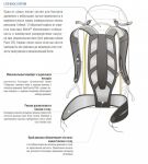 DEUTER RISE LITE 28 - РАСПРОДАЖА!